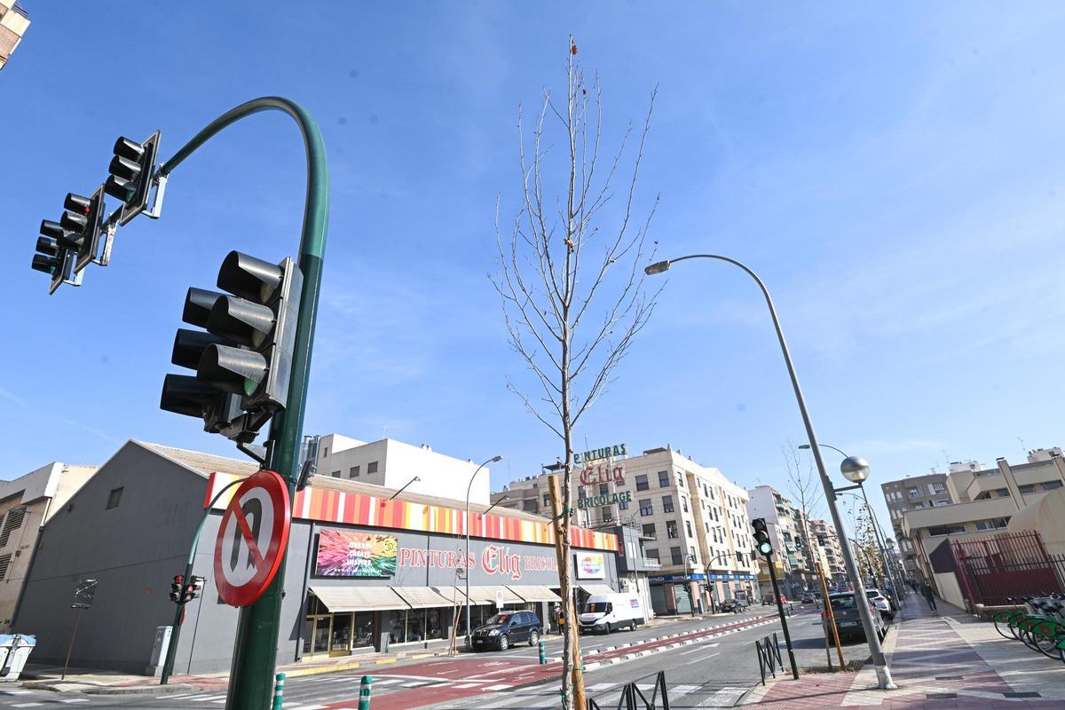 El entorno de los centros educativos de Pedro Juan Perpiñán tiene árboles de muy poco porte