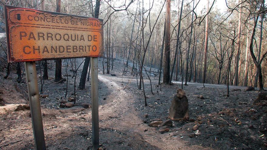 Imagen de la devastación del monte de la parroquia nigranesa de Chandebrito. // Efe