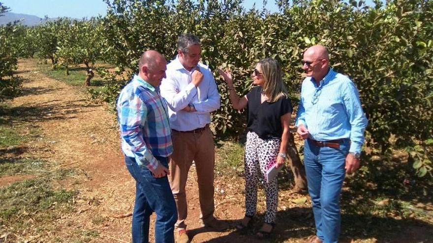 Visita institucional a una explotación agrícola de Los Urrutias.