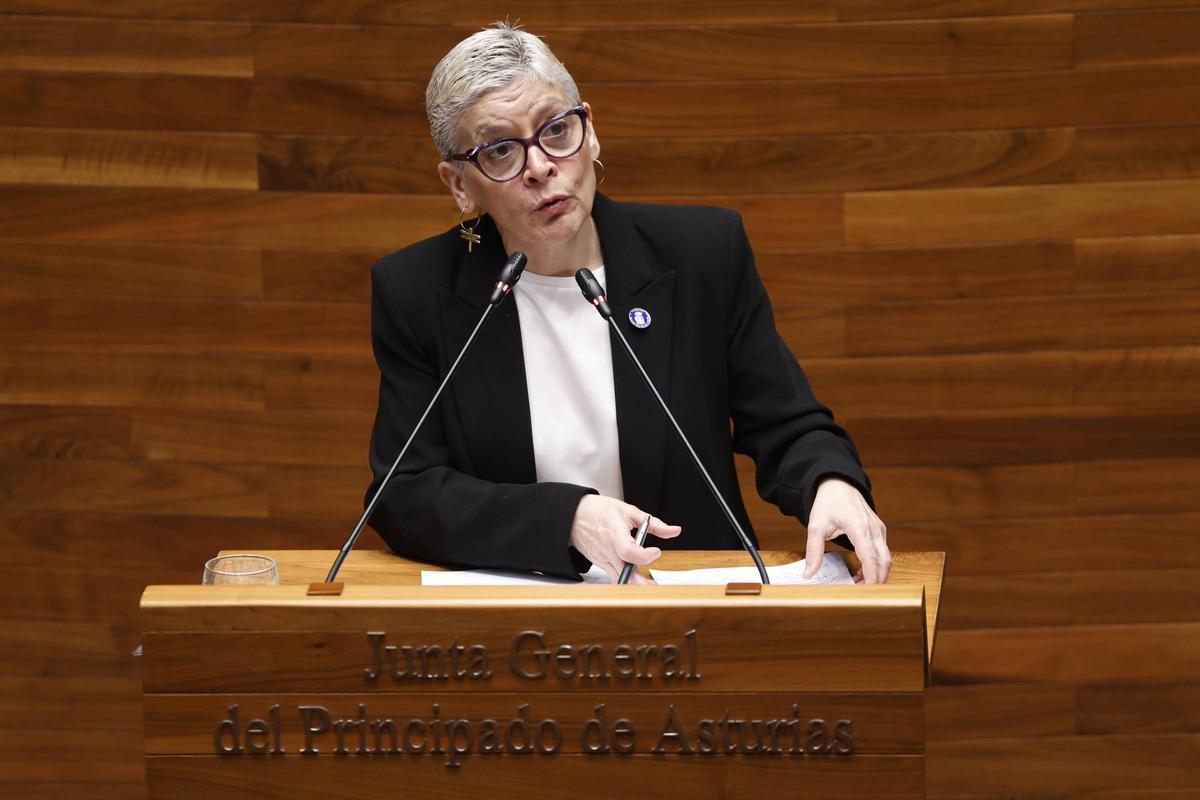 La consejera de Salud, Conchita Saavedra, en la Junta.