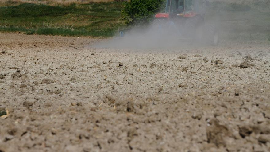 Las zonas cerealistas, ante &quot;pérdidas graves&quot; si no llueve en dos semanas