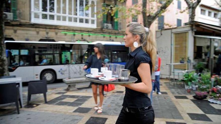 Das verdient man auf dem Arbeitsmarkt auf Mallorca