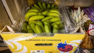 El coste del Plátano de Canarias se dispara también en fruterías y mercados: "Son precios abusivos porque no hay"