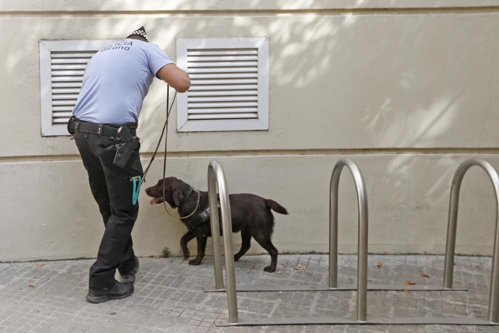 Kira, el nou efectiu de la Unitat Canina de Girona