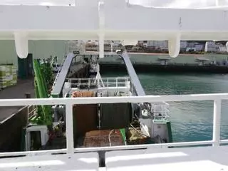 Cámaras a bordo para ver la interacción pesca-cetáceos