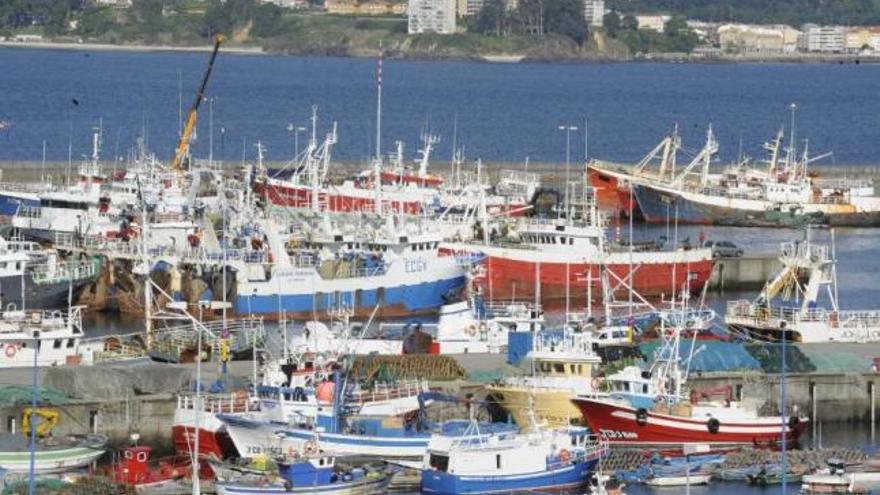 Flota pesquera amarrada en el puerto coruñés de Oza. / víctor echave