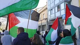 Palestina, el fals debat