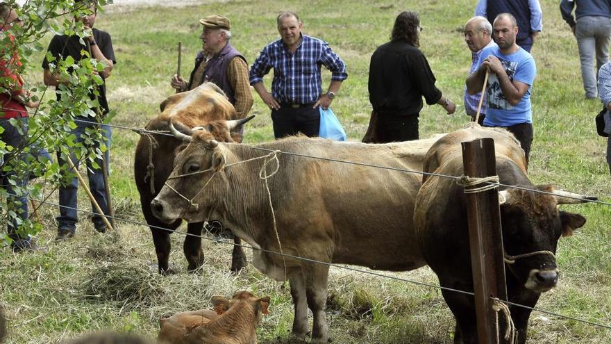 Asistentes a la última feria de ganado de la Ascensión.