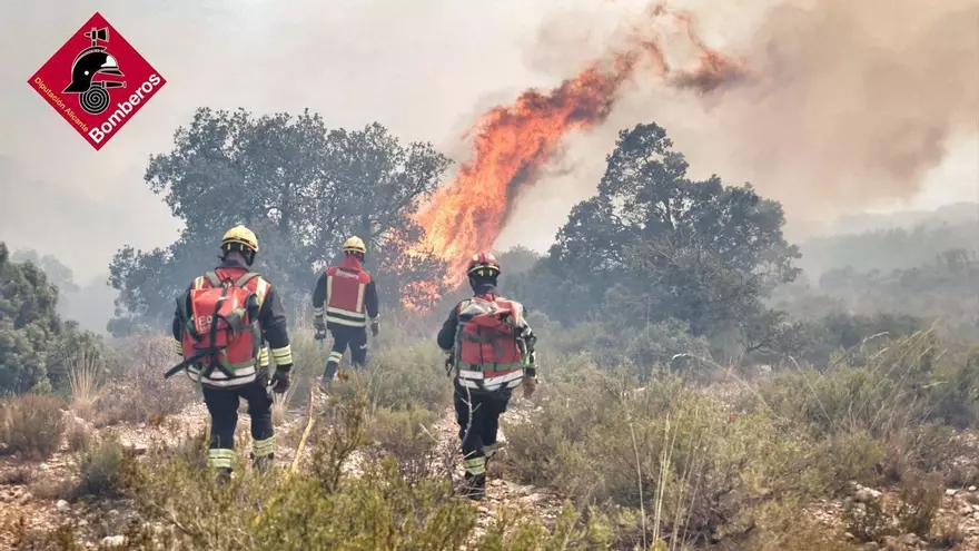 El incendio forestal de Alicante desde dentro