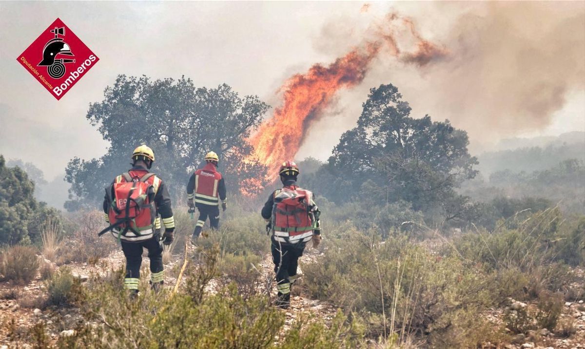 El incendio forestal de Alicante desde dentro