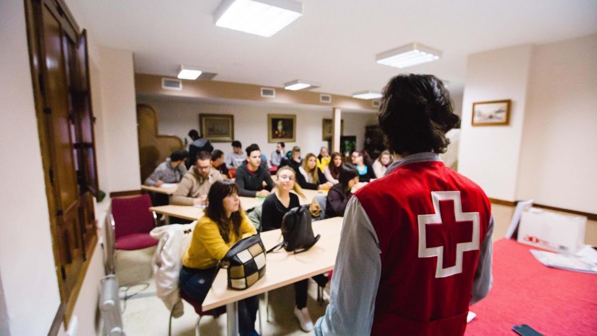 Cruz Roja logra un 45% de inserción laboral en Córdoba en menores de 30 años