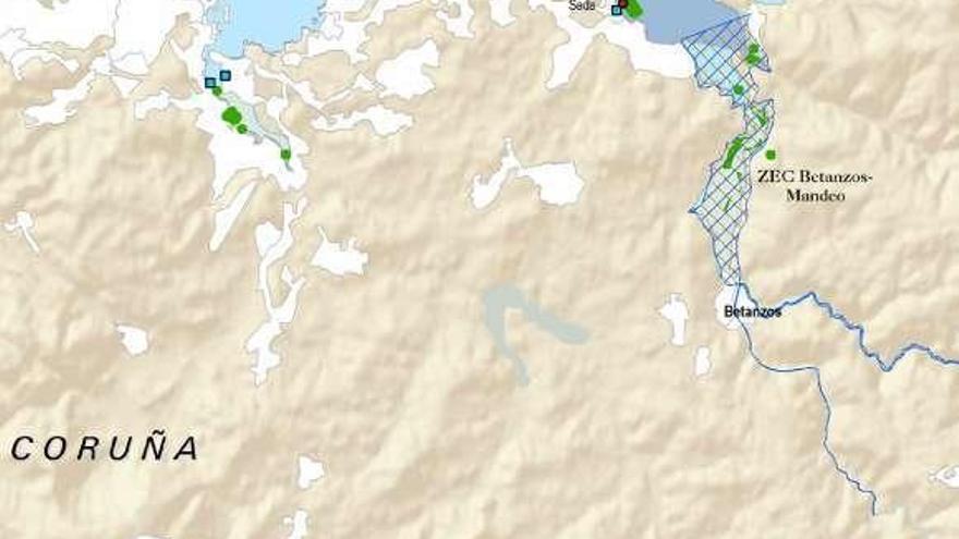 Dos mapas del Atlas de las Praderas Marinas que documentan plantas marinas y zostera en la playa de Sada.