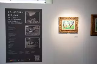 Serra de Tramuntana: Una exposición de Coll Bardolet rinde homenaje a las 'collidores' de aceituna