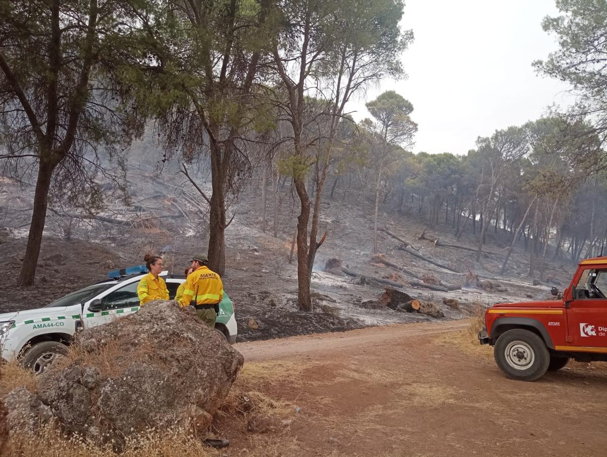 El Infoca combate un grave incendio forestal en Rute El Infoca combate un grave incendio forestal en Rute