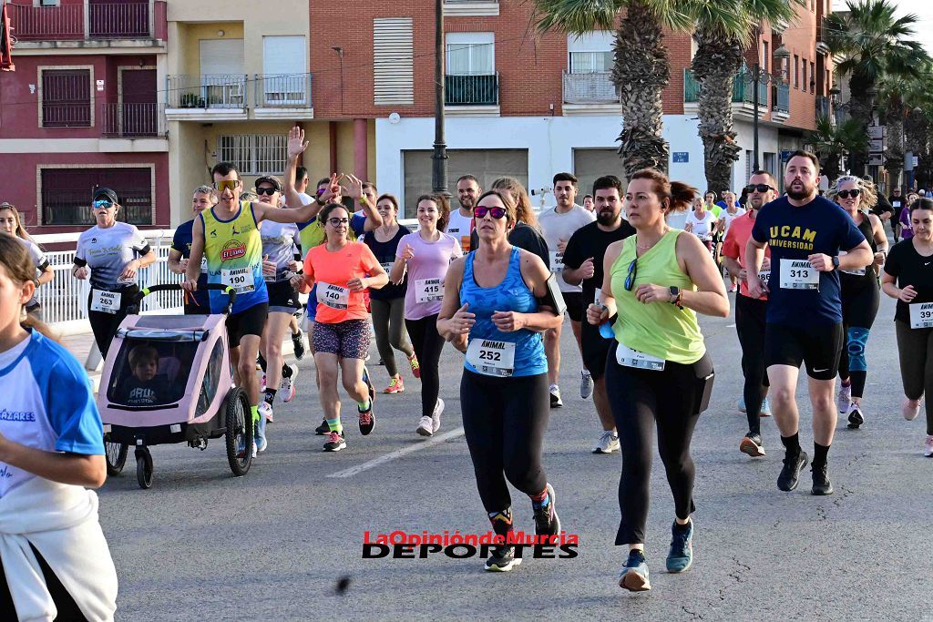 Carrera 5k Animal en Los Alcázares 2024 (I)