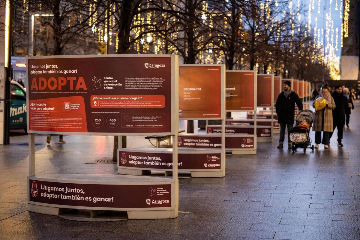 La nueva campaña del Casademont Zaragoza. La nueva campaña del Casademont Zaragoza.