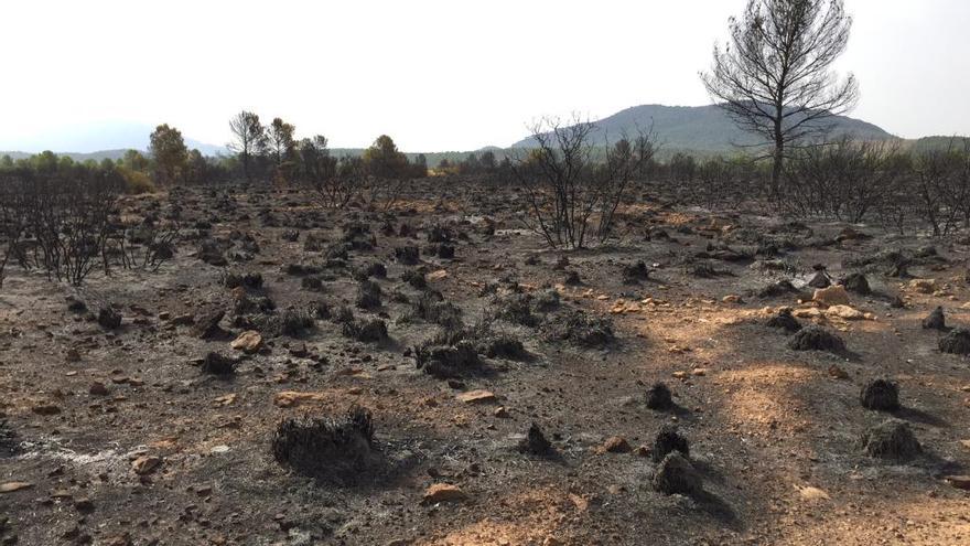 Así ha quedado el incendio de Cañaverosa.