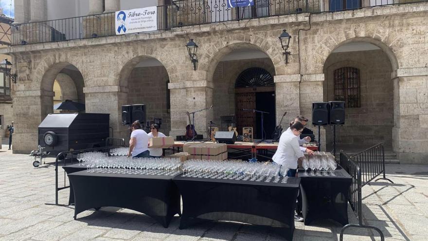 Centenares de copas esperan a los toresanos para celebrar el Día del Vino. | DO Toro