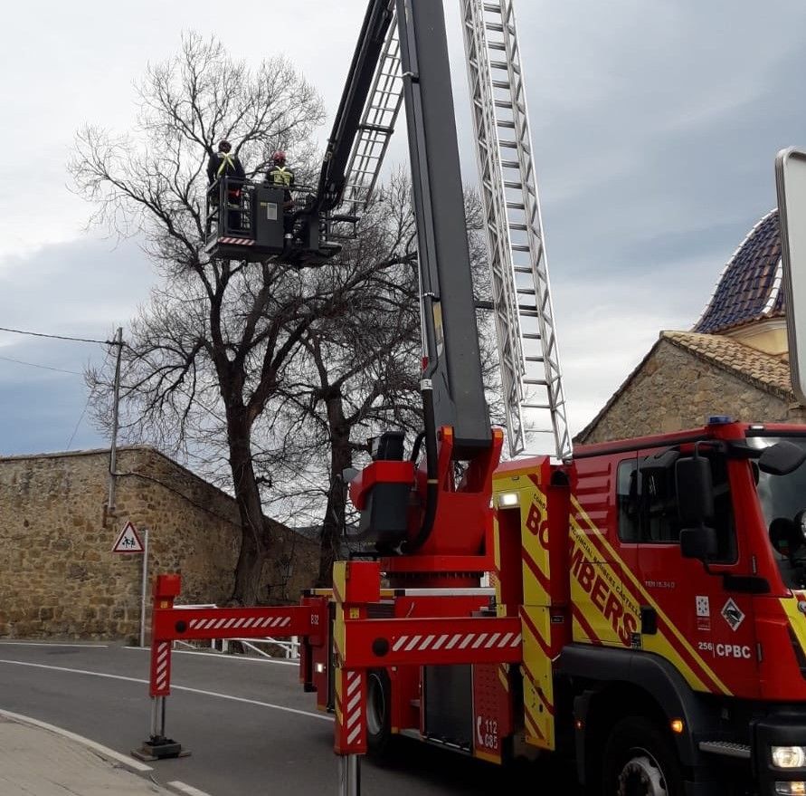 Actuación de los bomberos cortando una de las ramas de un árbol.