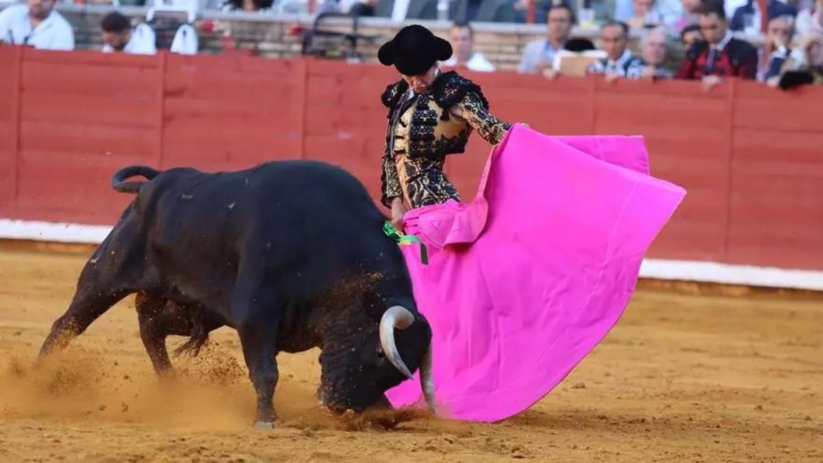 Ya hay cartel para la alternativa de Manuel Román en la Feria de Córdoba 2025