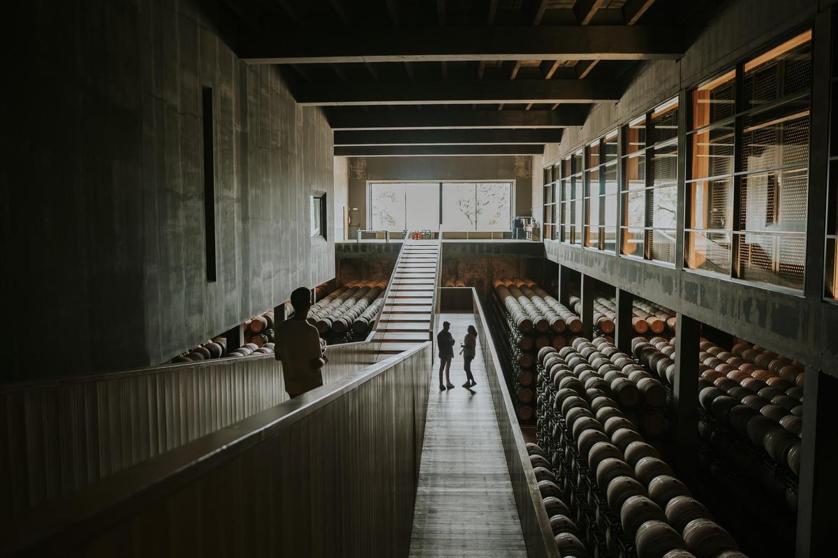 Bodegas Campo Viejo