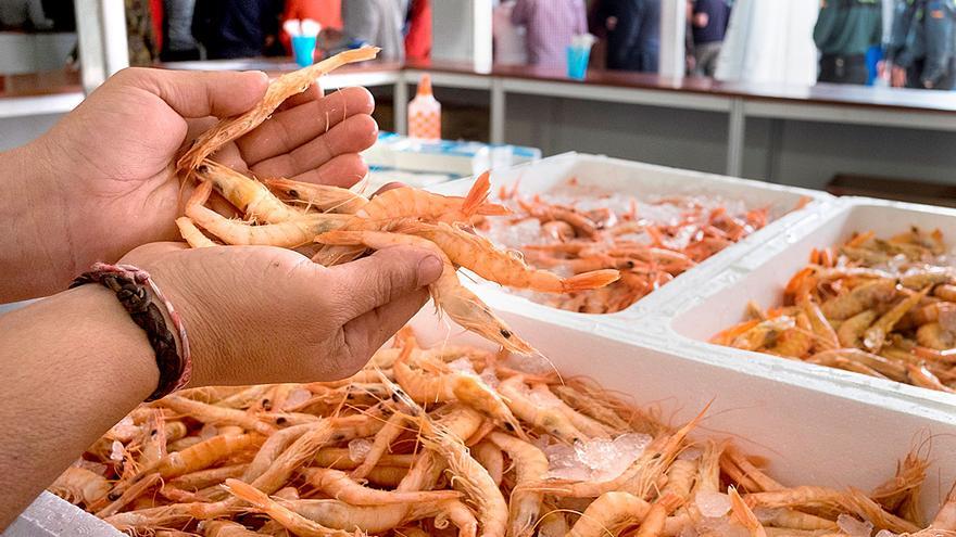 Presentada la Feria de la Gamba de Punta Umbría con estos precios por plato