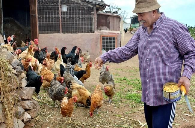 Pepe Guedes, agricultor orgánico