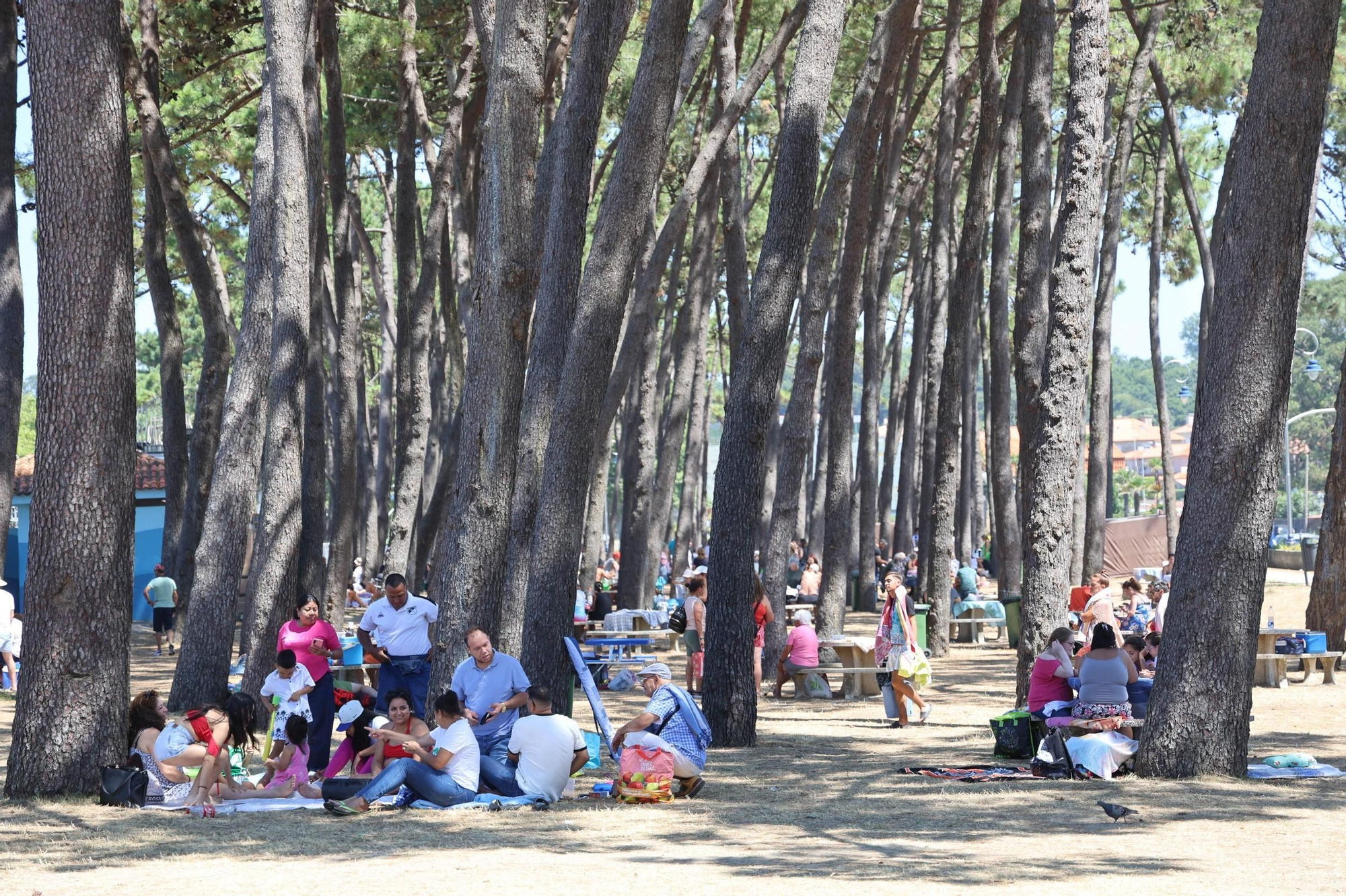 Alerta amarilla en 13 municipios de Pontevedra por temperaturas máximas