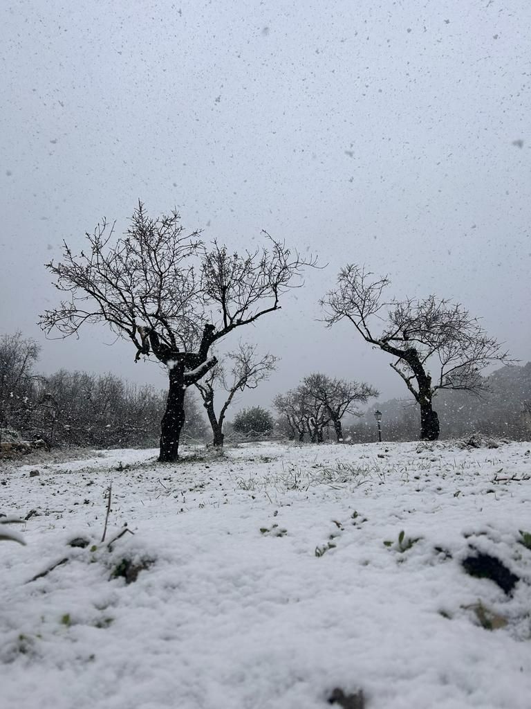 Nieva en Tollos, en la comarca alicantina del Comtat