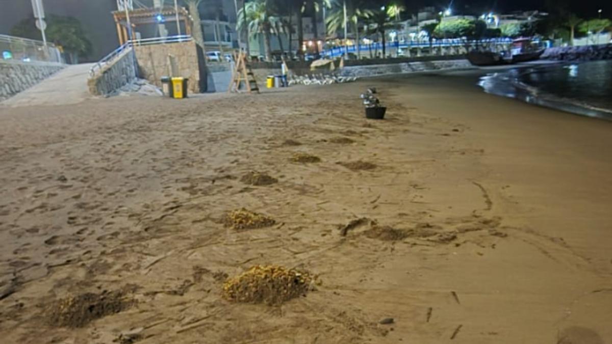 Playa de Las Marañuelas durante las tareas de limpieza tras el vertido.