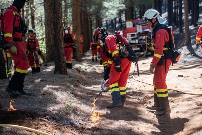 La UME realiza prácticas de prevención de incendios en Gran Canaria