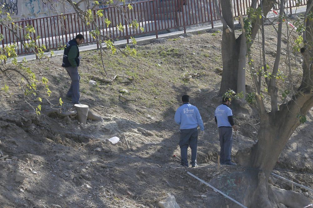 La ladera pierde más árboles