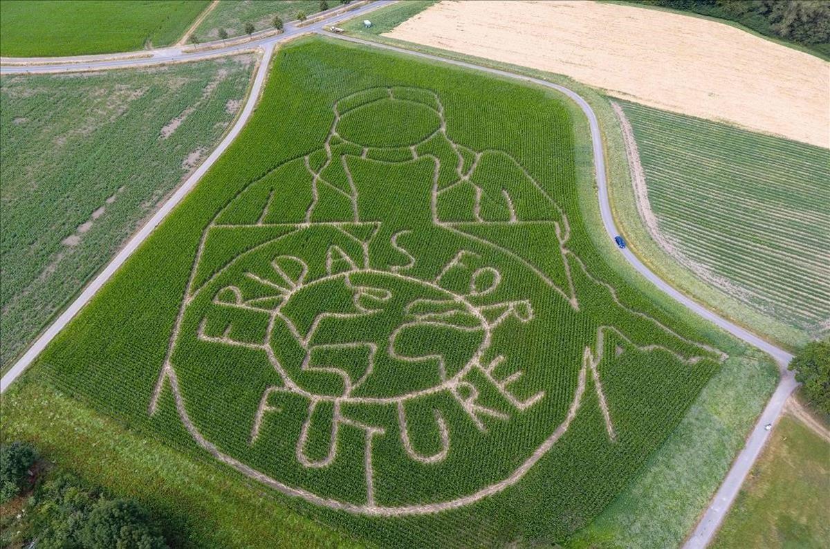 Fotografía aérea que muestra un campo de maíz con un retrato de la activista climática sueca Greta Thunberg en el Hof Luenemann en Selm, Alemania. 