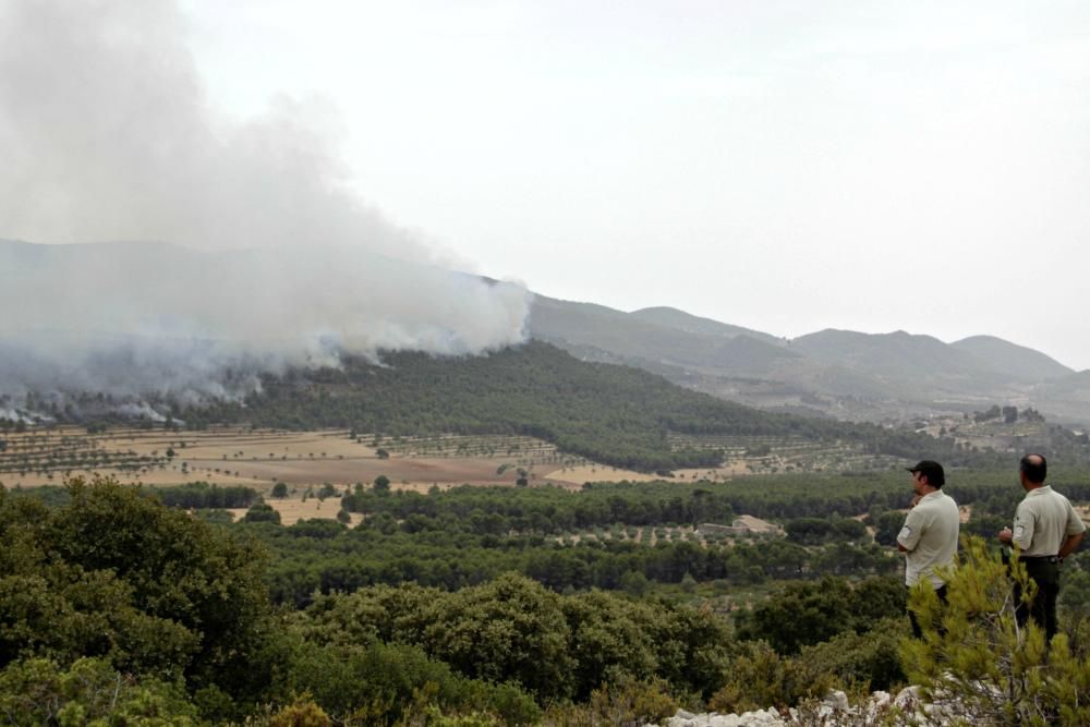 Así fue el incendio de Torremanzanas (agosto,2012)