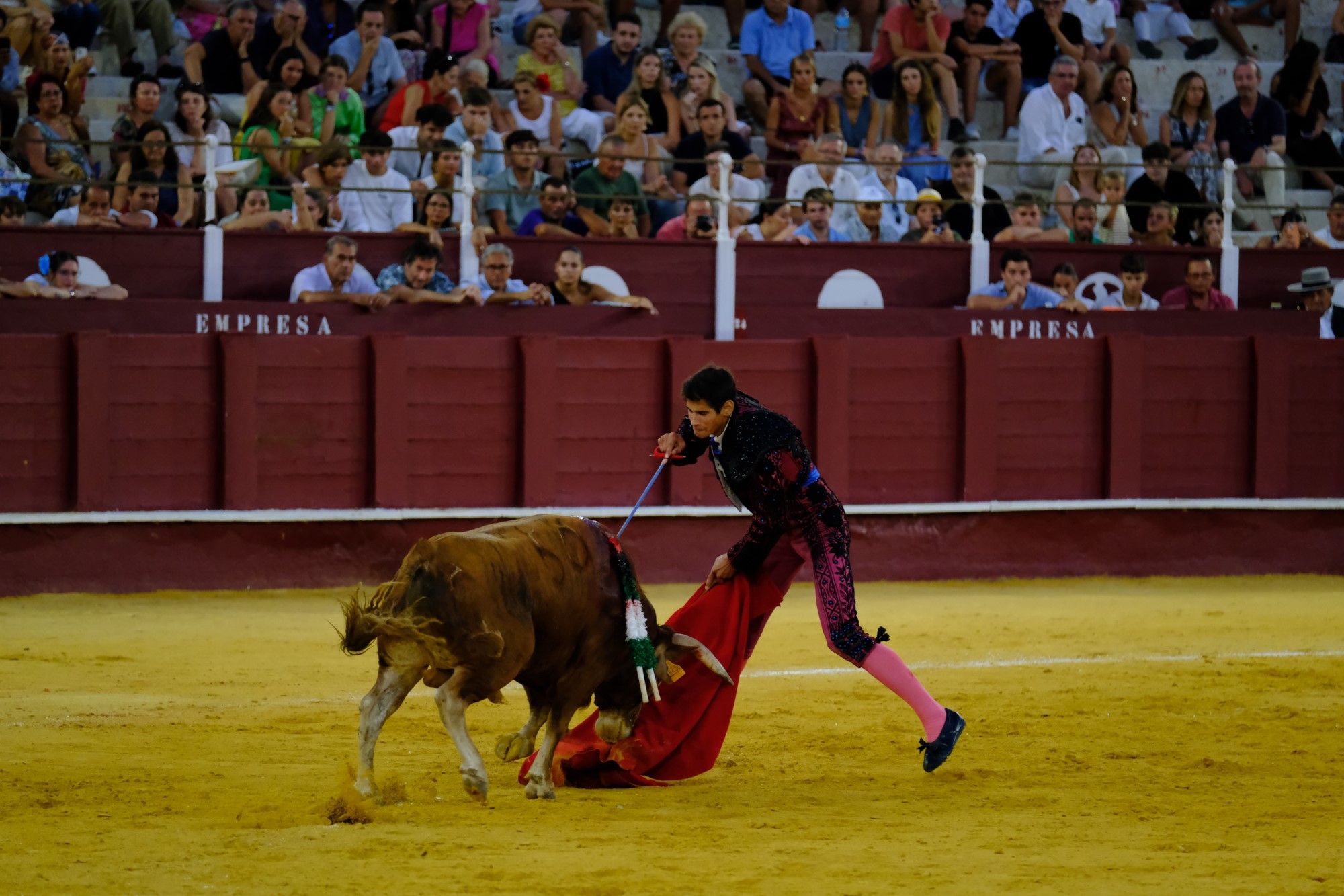 Toros en la Feria | Novena corrida de abono en La Malagueta: 3ª Semifinal de las Escuelas Taurinas