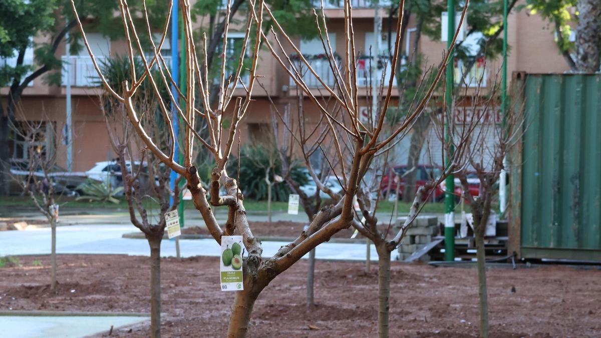 Las obras en el parque ondense incluyen la plantación de especies frutales como el ciruelo.