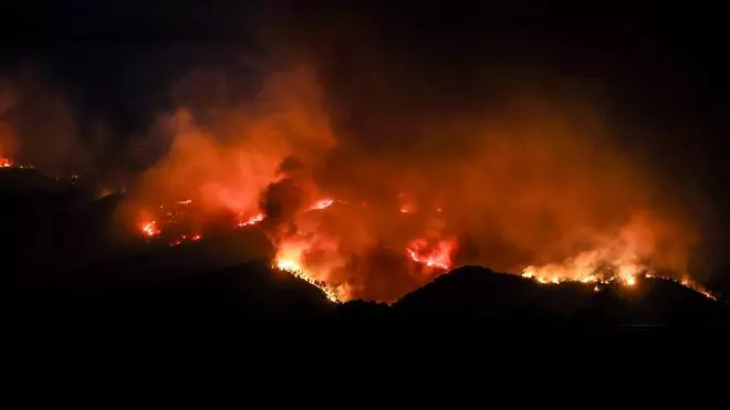Incendio forestal en Paüls (Baix Ebre, Tarragona)