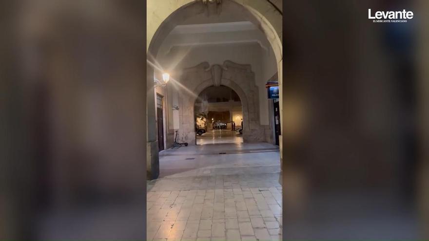 irigidos a espantar palomas y que enloquecen a los vecinos de Abastos