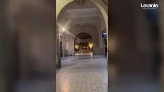 Los graznidos dirigidos a espantar palomas y que enloquecen a los vecinos de Abastos