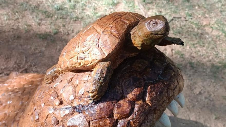 Un cocodrilo que emerge del Duero en Zamora con una tortuga en su hocico, arte que asusta