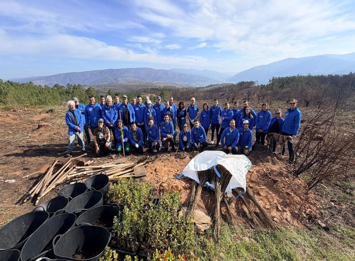 Foto de grupo de los participantes en la jornada de recuperación ambiental de este sábado en Larouco.
