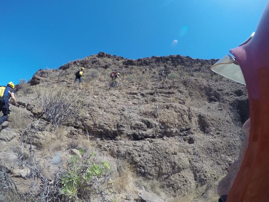 Rescate de dos cabras en Santa Lucía de Tirajana