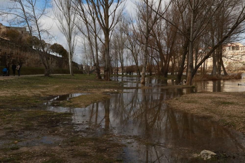 Temporal en Zamora.