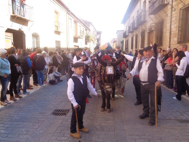 Desfile de carros en La Vendimia 2016 (Toro)