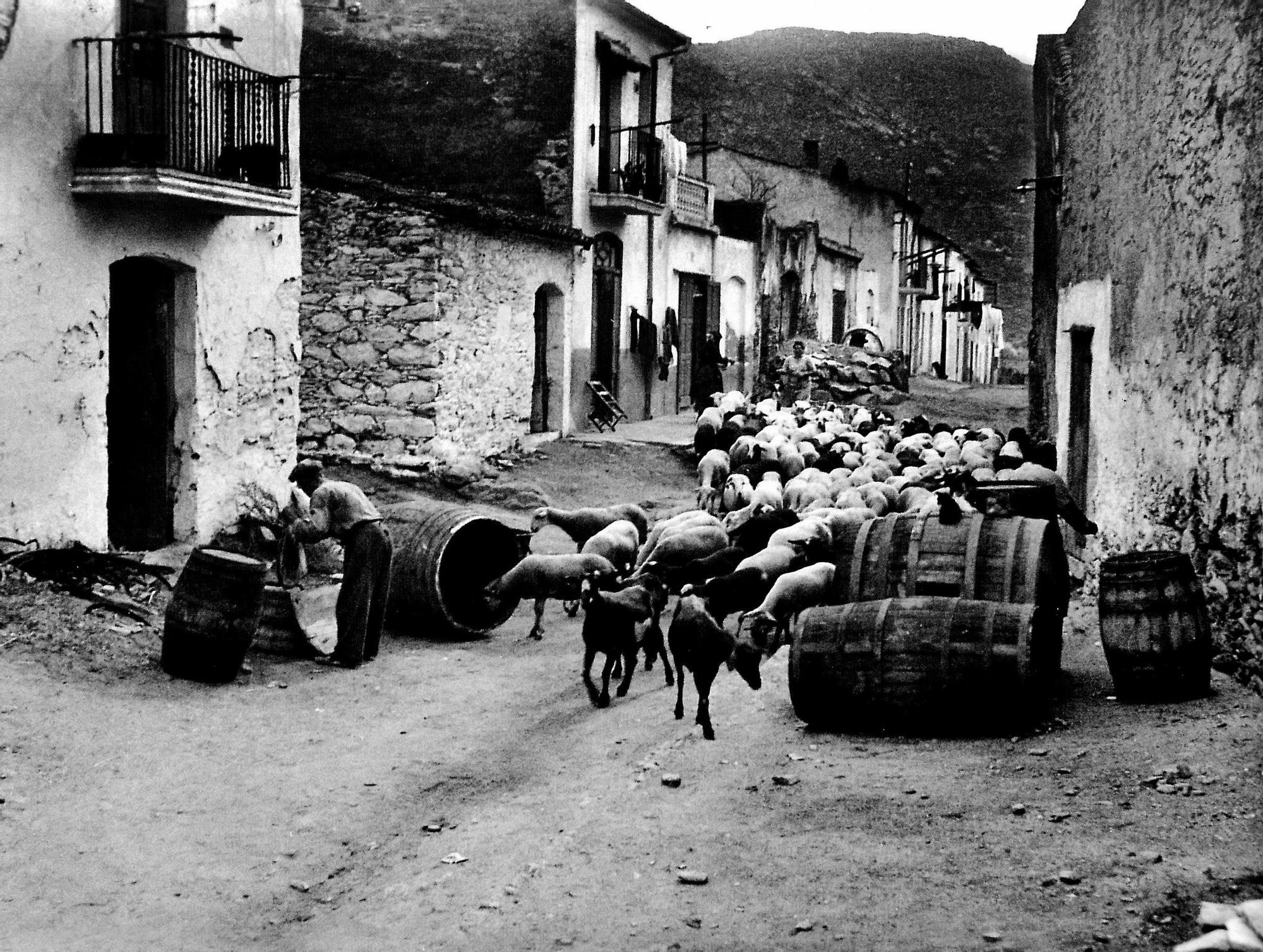 El Port de la Selva, l&#039;any 1943