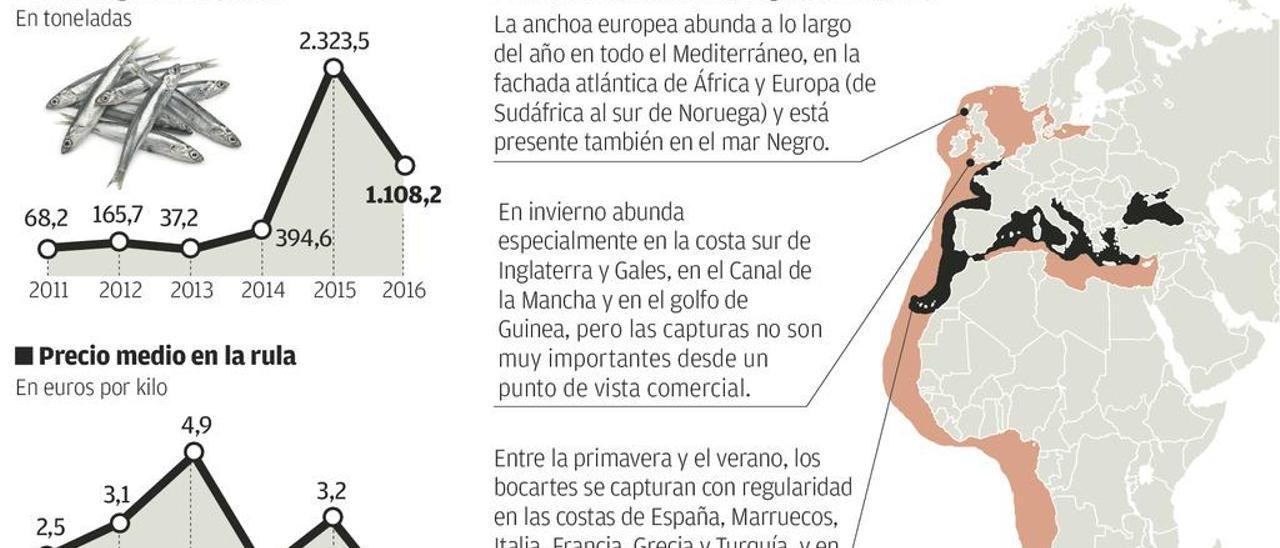 Asturias apoya una indicación protegida de la anchoa cantábrica
