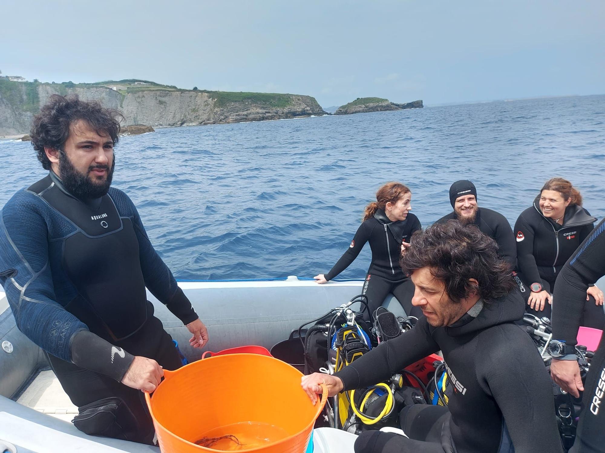 Así fue la suelta de tiburones en Gijón por el Día de los Océanos (en imágenes)