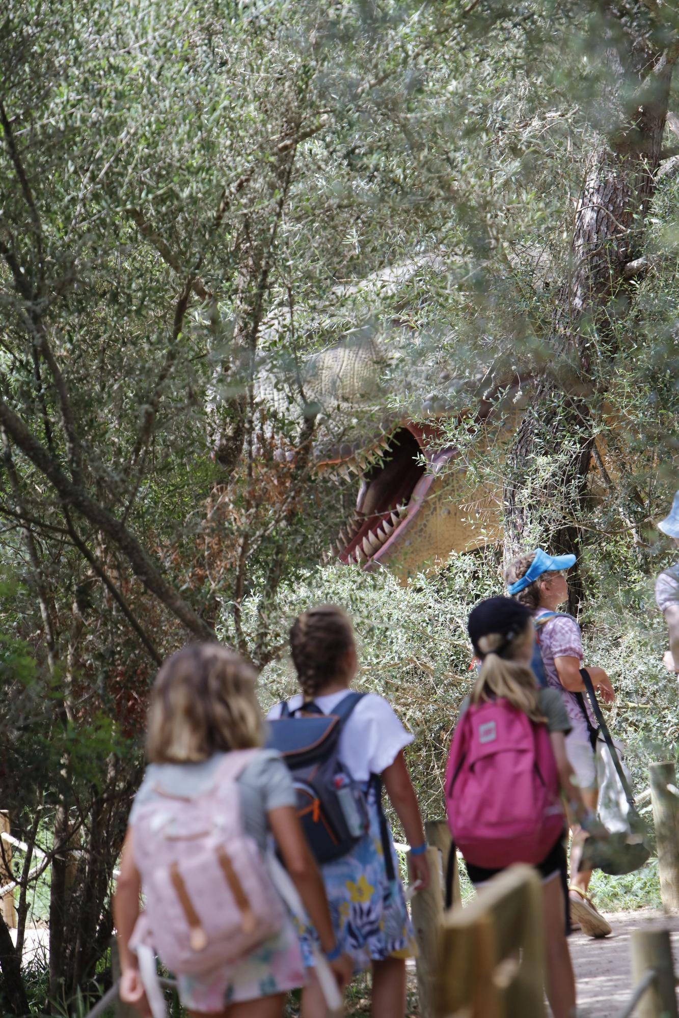 Besuch im neuen Dino-Park auf Mallorca