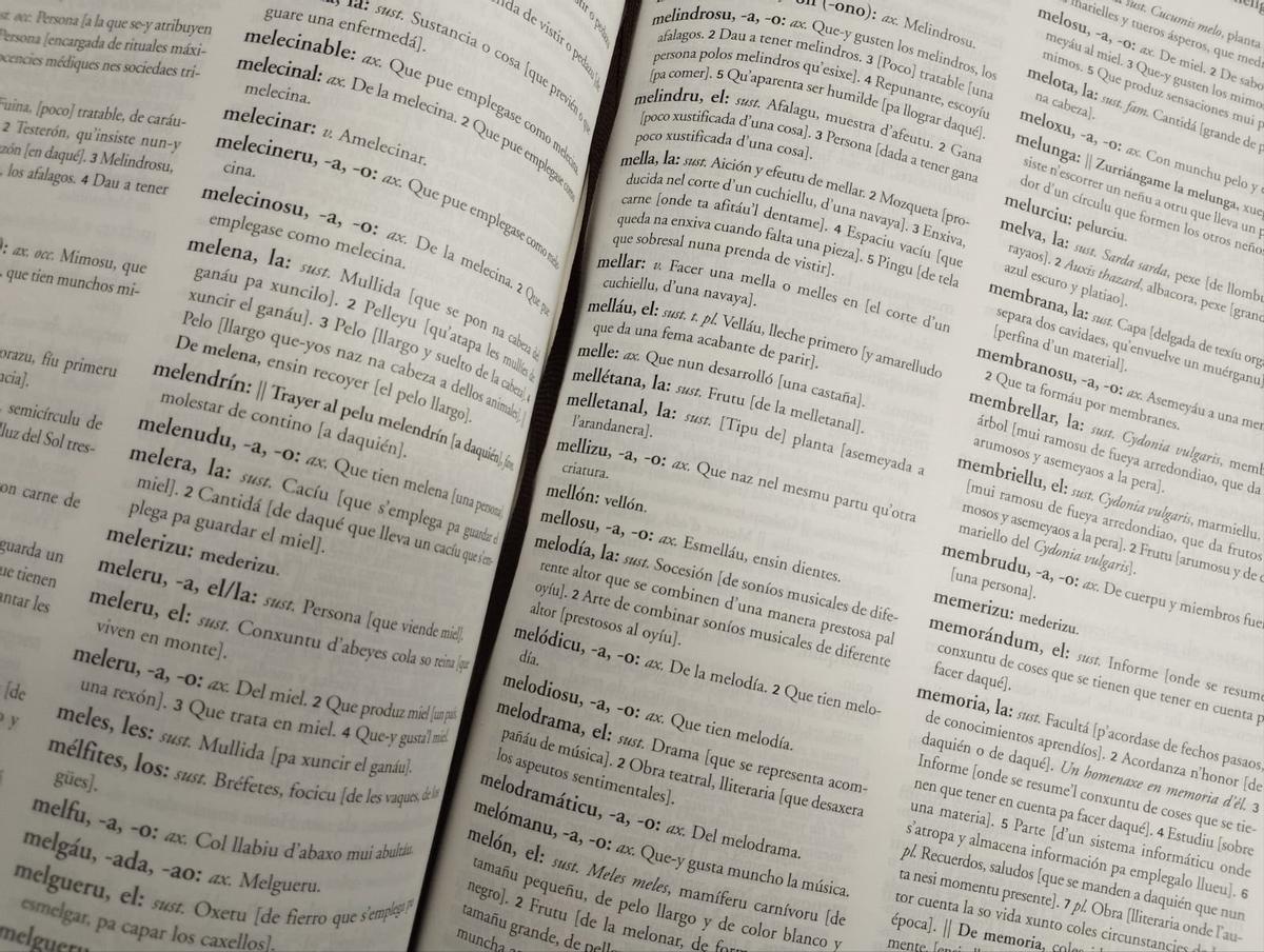 Diccionariu de la Llingua Asturiana.