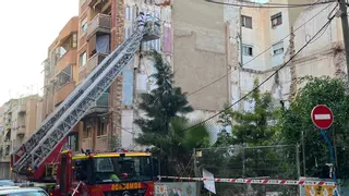 Un enjambre de abejas "toma" Carolinas Bajas en Alicante